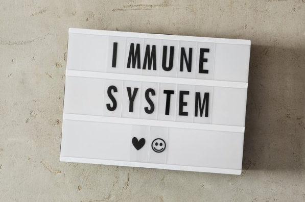 vitamin E untuk anak, makanan kaya vitamin E, manfaat vitamin E, bayam untuk imun, blackberry untuk balita, mangga untuk kulit, nutrisi ibu menyusui, MPASI sehat, makanan sehat keluarga, antioksidan alami, Bunda, si Kecil